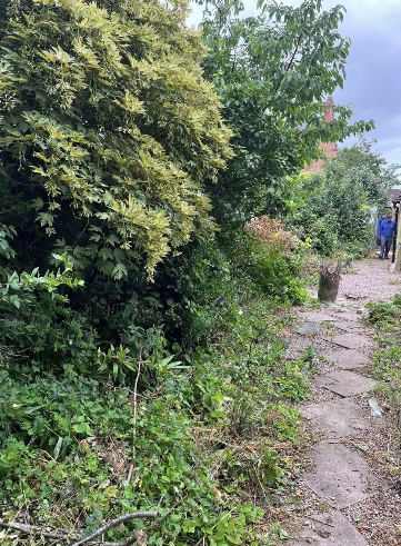 Garden Strip-out with Mini Digger